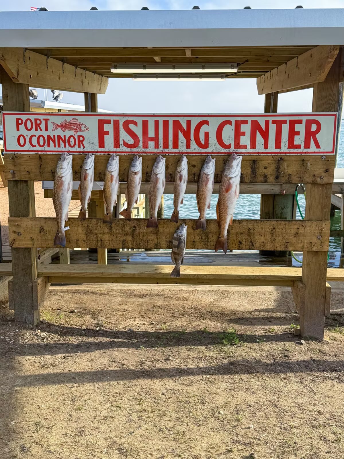 Port O'Connor fishing trip shared by Ricky Acuna