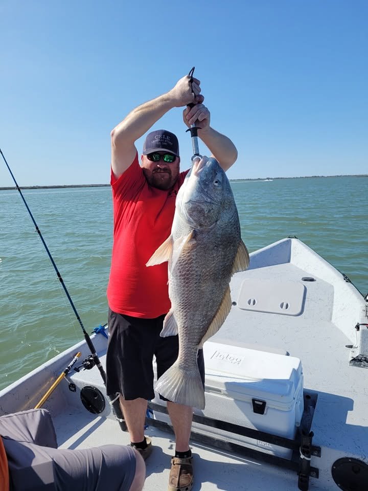 Angler holding a large black drum near Port O'Connor